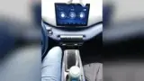 BYD Dolphin Mini - Miniatura 8
