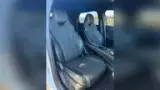 BYD Dolphin Plus - Miniatura 3
