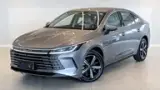 BYD King - Miniatura 1