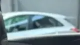 BYD Dolphin - Miniatura 14