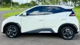 BYD Dolphin Mini - Miniatura 1