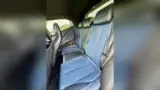 BYD Dolphin Mini - Miniatura 10