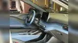 BYD Dolphin Mini - Miniatura 3