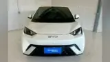 BYD Dolphin Mini - Miniatura 1