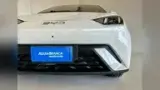 BYD Dolphin Mini - Miniatura 2