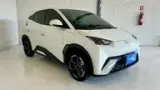 BYD Dolphin Mini - Miniatura 4