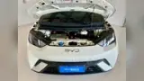 BYD Dolphin Mini - Miniatura 10