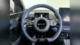 BYD Dolphin Mini - Miniatura 14