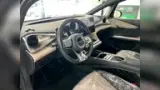 BYD Dolphin - Miniatura 7