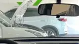 BYD Dolphin - Miniatura 11