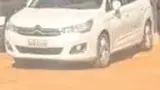 BYD Dolphin Mini - Miniatura 5