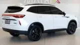 GWM Haval H6 Plug-in Hybrid - Miniatura 1