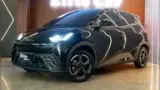 BYD Dolphin Mini - Miniatura 1