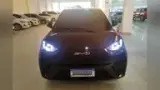 BYD Dolphin Mini - Miniatura 3