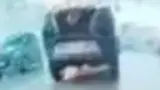 BYD Dolphin Mini - Miniatura 8