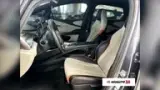 BYD Dolphin - Miniatura 8