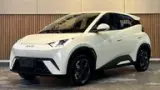 BYD Dolphin Mini - Miniatura 1