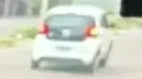 BYD Dolphin - Miniatura 9