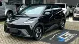 BYD Dolphin Mini - Miniatura 1