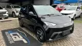 BYD Dolphin Mini - Miniatura 3
