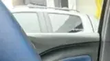 BYD Dolphin Mini - Miniatura 5