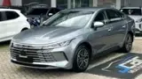 BYD King - Miniatura 1