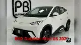 BYD Dolphin Mini - Miniatura 1