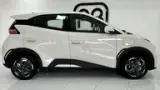 BYD Dolphin Mini - Miniatura 6