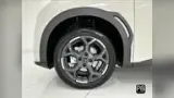 BYD Dolphin Mini - Miniatura 8