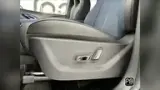 BYD Dolphin Mini - Miniatura 10