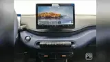 BYD Dolphin Mini - Miniatura 13