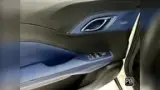 BYD Dolphin Mini - Miniatura 20