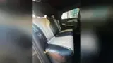 BYD Dolphin - Miniatura 7