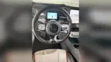 BYD Dolphin - Miniatura 12