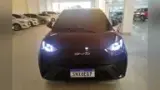 BYD Dolphin Mini - Miniatura 1