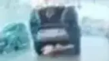 BYD Dolphin Mini - Miniatura 8
