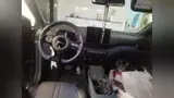 BYD Dolphin Mini - Miniatura 9