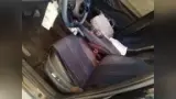 BYD Dolphin Mini - Miniatura 10