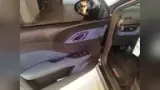BYD Dolphin Mini - Miniatura 11