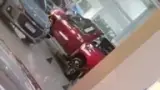 BYD Dolphin Mini - Miniatura 12