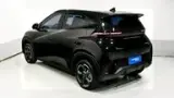 BYD Dolphin Mini - Miniatura 7