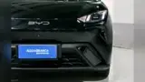 BYD Dolphin Mini - Miniatura 4