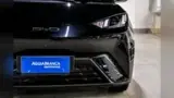 BYD Dolphin Mini - Miniatura 4