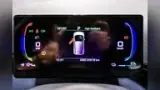 BYD Dolphin Mini - Miniatura 12