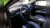 BYD Dolphin Mini - Miniatura 13
