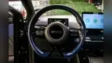 BYD Dolphin Mini - Miniatura 15