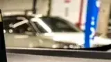 BYD Dolphin Mini - Miniatura 17
