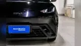 BYD Dolphin Mini - Miniatura 4