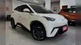 BYD Dolphin Mini - Miniatura 2