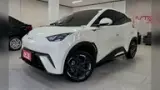 BYD Dolphin Mini - Miniatura 4